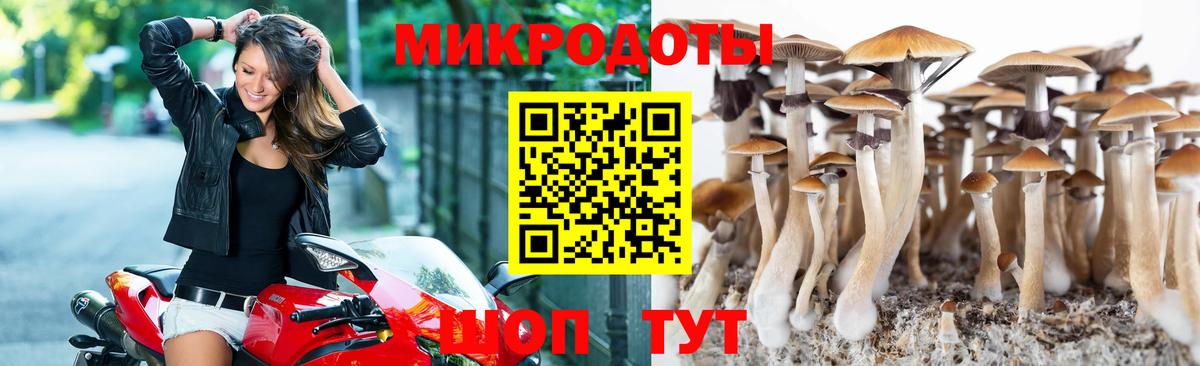 Псилоцибиновые грибы MAGIC MUSHROOMS Карпинск